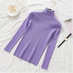 Pullover Women Knitted Turtleneck Sweater