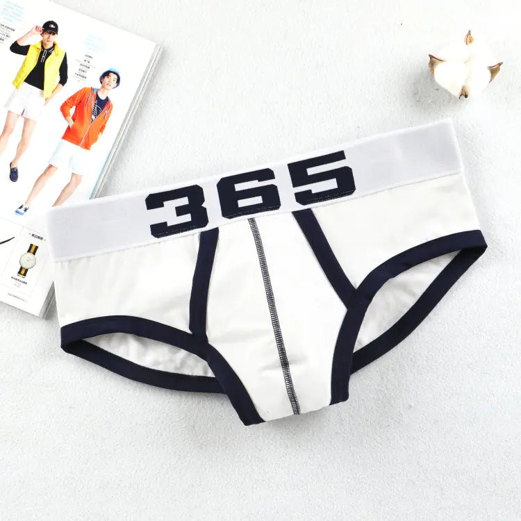 Breathable Comfort Men's Briefs (Triangle Underwear)