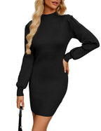 Naggoo Womens Black Sweater Dress Turtleneck Long Sleeve Knit Mini Sweater Dress Black M