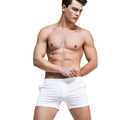 Casual Low Waist Breathable Men's Underwear