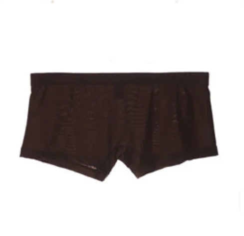 Men's Ice Silk Thin Semitransparent Underwear