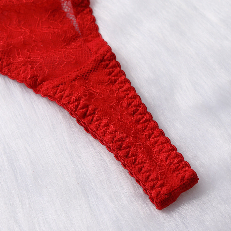 Red Delicate Shadow Sheer Bra and Panty Set Crotch Details