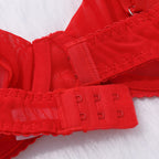 Red Delicate Shadow Sheer Bra and Panty Set bra Back Show
