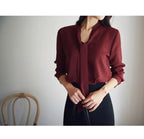 Chiffon Shirt