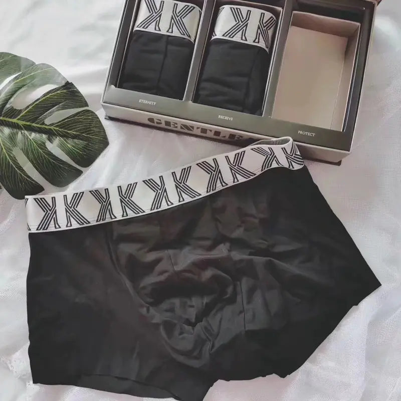 Men's Graphene Antibacterial Seamless Underwear (Kissy)