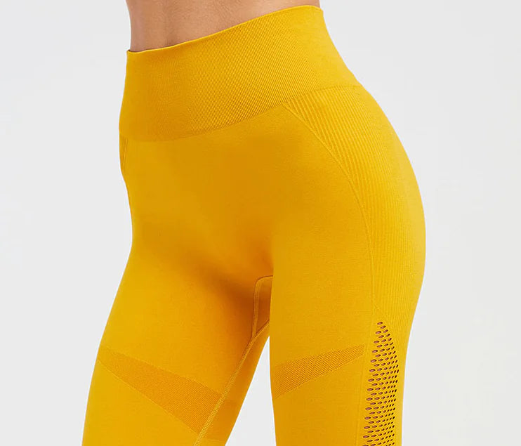Seamless Hollow Fitness Leggings for Yoga and Gym