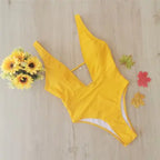 Women's Deep V Solid Color Bikini Swimsuit