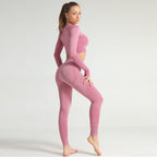 Gym Sport Outfits Yoga Clothing Set Women Long Sleeves Fitness Shirt Seamless Leggings Running Suit Workout Tracksuit Activewear