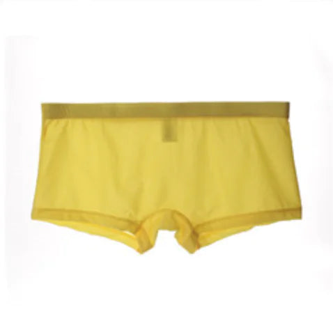 Men's Ice Silk Thin Semitransparent Underwear