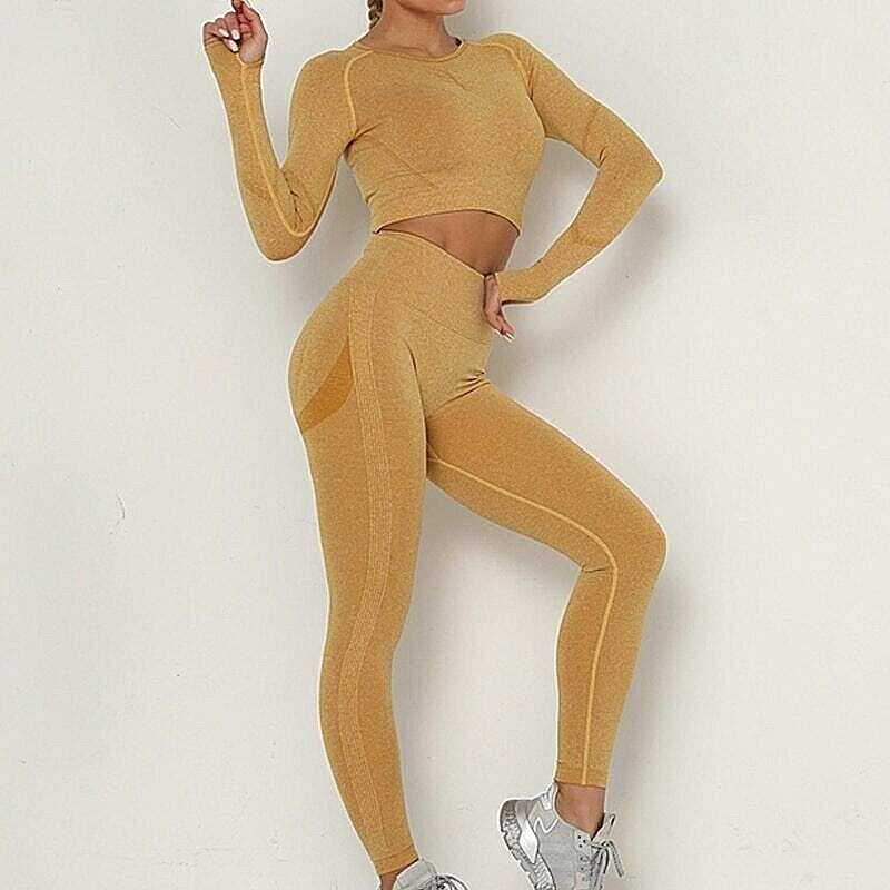 Seamless Long Sleeve Activewear Top for Women